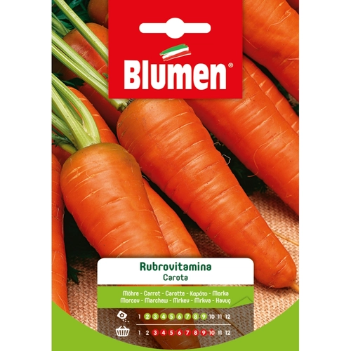 Semi orto di carota 20 g BRI53677