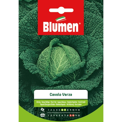Semi orto di cavolo verza 20 g BRI53683