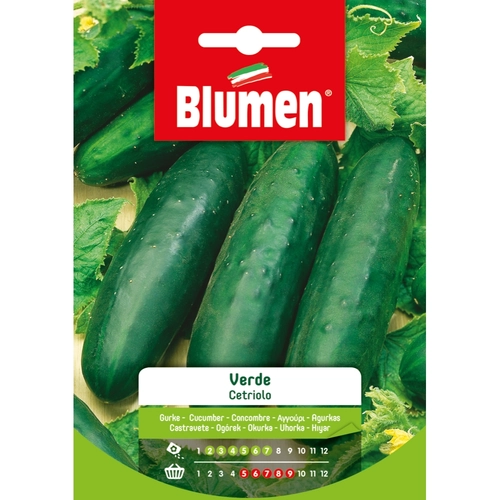 Semi orto di cetriolo 20 g BRI53686