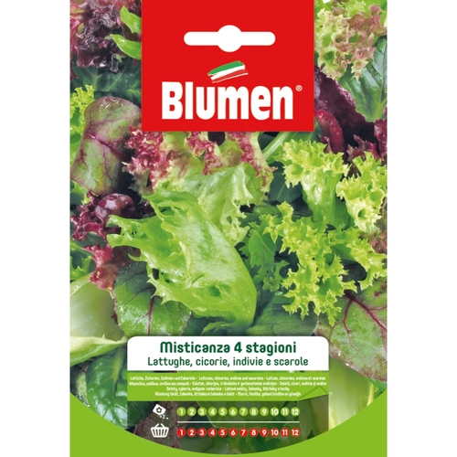 Semi orto di misticanza 20 g BRI53742