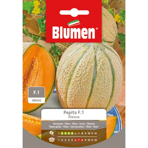 Semi orto di melone 20 g BRI53799