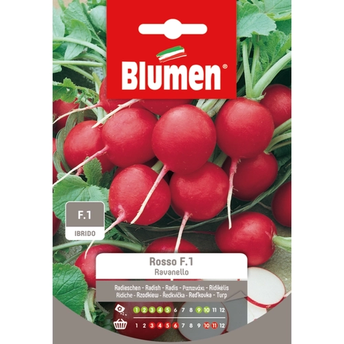 Semi orto di ravanello rosso 20 g BRI53804