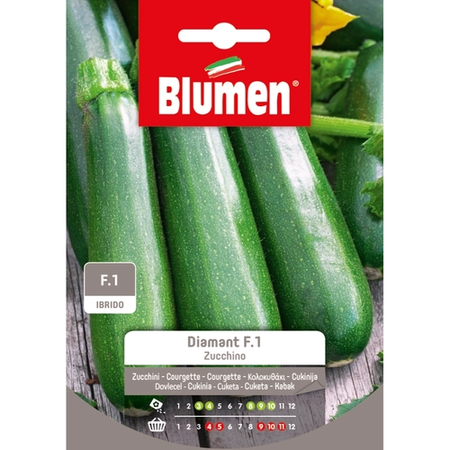 Semi orto di zucchino 20 g BRI53810