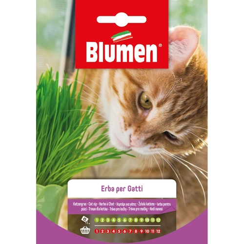 Semi orto di erba gatta 20 g BRI53814