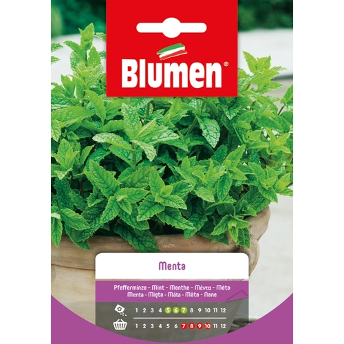 Semi orto di menta piperita 20 g BRI53817