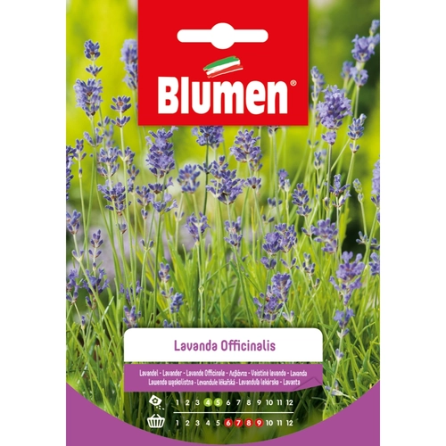 Semi fiore di lavanda 20 g BRI53819