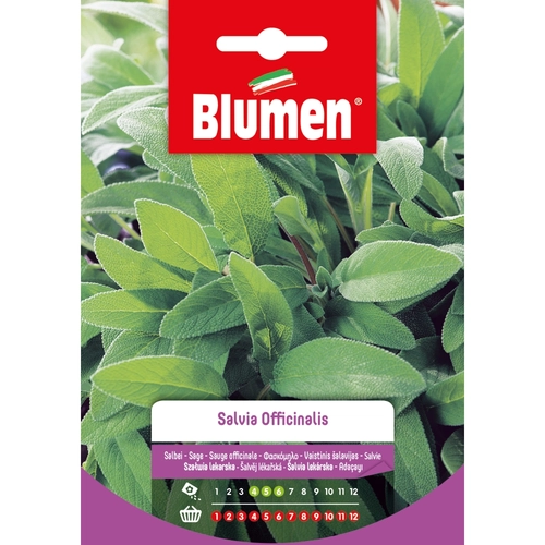 Semi orto di salvia 20 g BRI53820