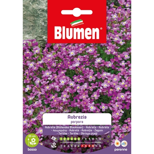 Semi fiore di aubrezia 20 g BRI53827
