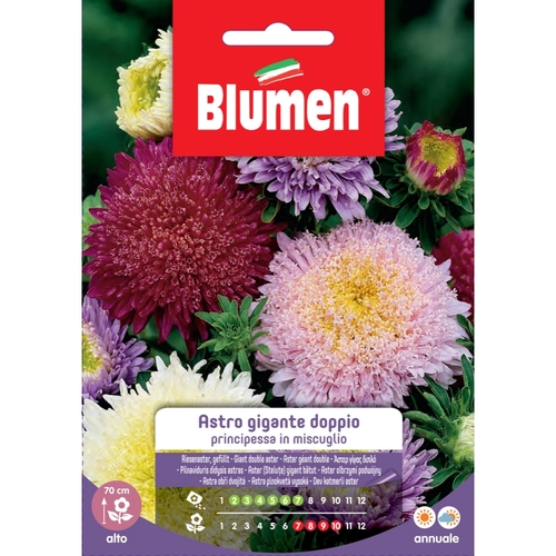 Semi fiore di astro 20 g BRI53828