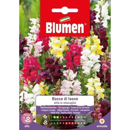 Semi fiore di bocca di leone 20 g BRI53838