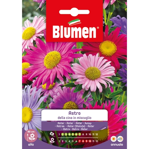 Semi fiore di astro 20 g BRI53850