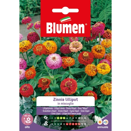 Semi fiore di zinnia nana 20 g BRI53858