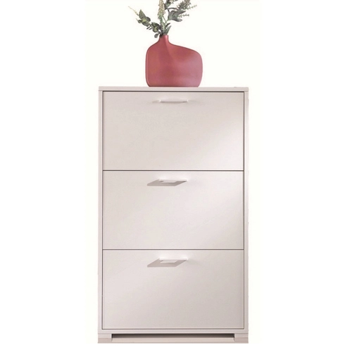 Scarpiera a ribalta BRI670493