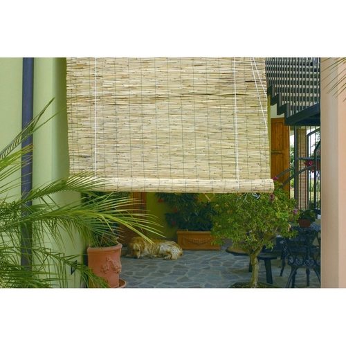 Arella BRI70305