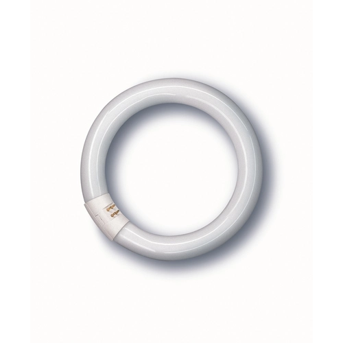 Lampadina fluorescente attacco G10q BRI770597