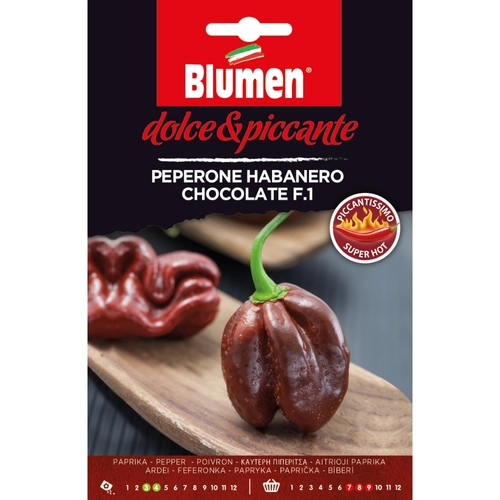 Semi peperone habanero chocolate BRI771237