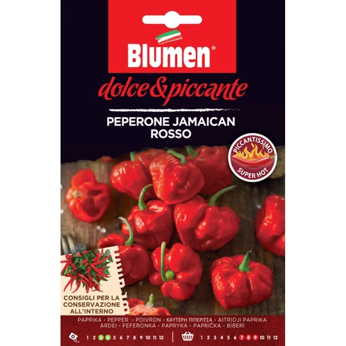 Semi peperone jamaican rosso BRI771312