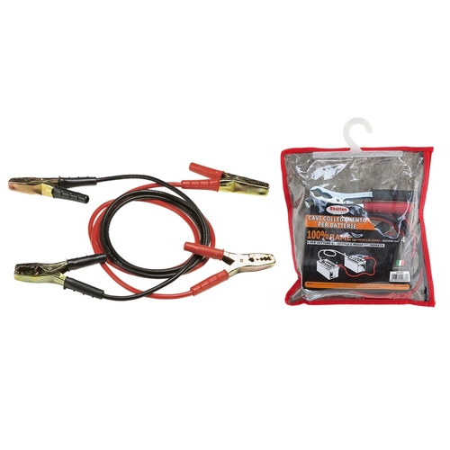 Cavi batteria standard BRI783881