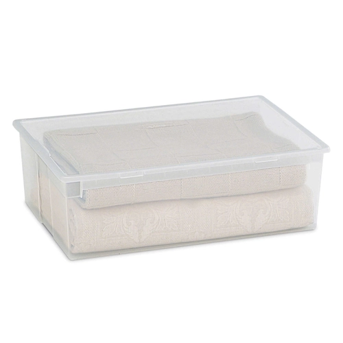 Contenitore Box In Plastica Trasparente BRI800307