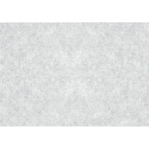 PLASTICA AD. 45x200 TRASP. PERGAMEN BRI81794