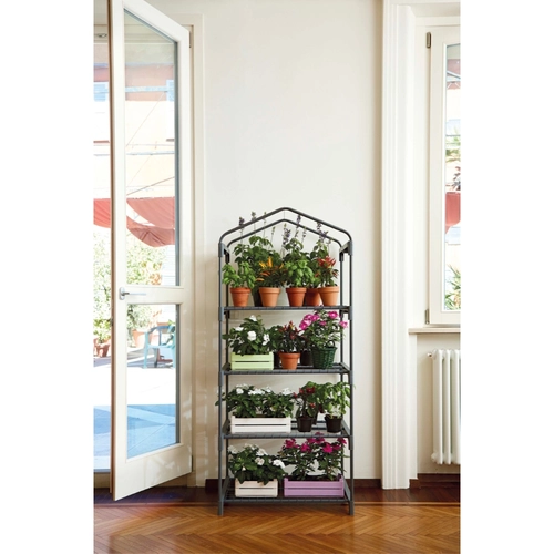 Serra da balcone Azalea BRI819509