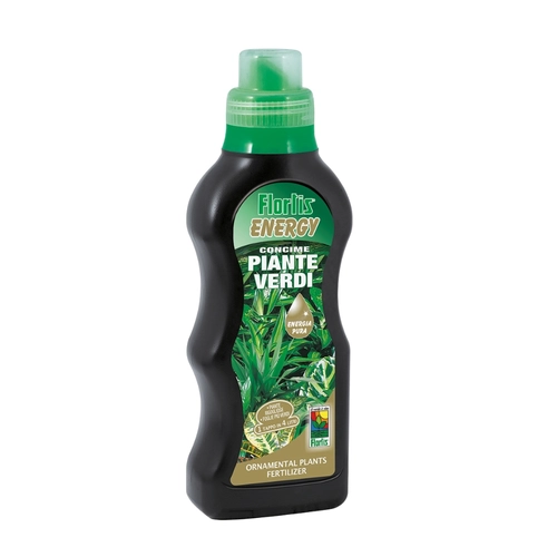 Concime per piante verdi 500 g BRI824780