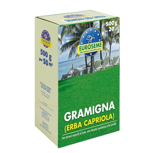 Semi prato EUROSEME GRAMIGNA 500 g BRI855717