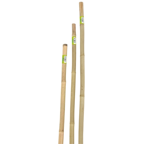 Canna bamboo pesante 180cm.d.22-24mm. BRI861788