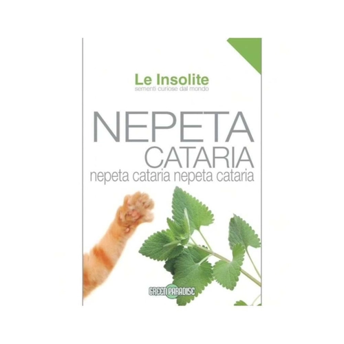 NEPETA CATARIA LBIN BRI884586