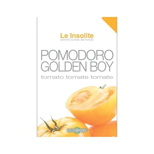 Pomod.giallo-gold.boy lbin BRI884599