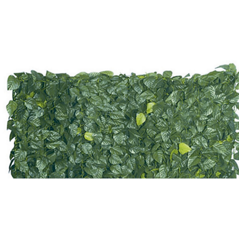 Verdelook Siepe Sempreverde