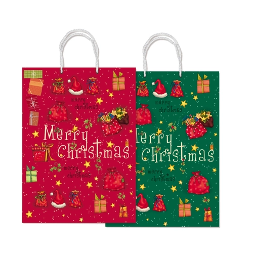 Borsa multicolore BRI891449
