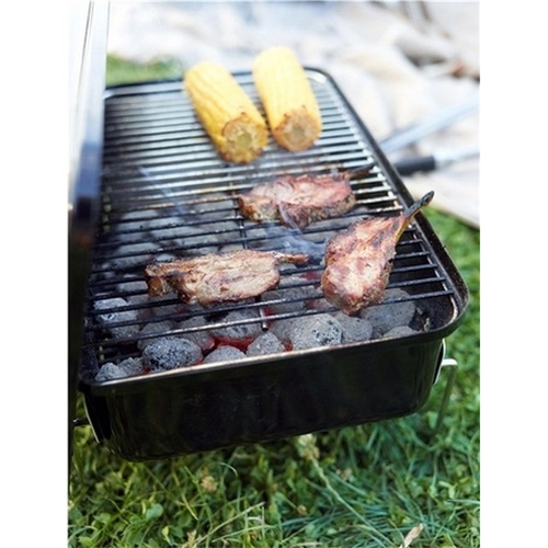 Barbecue Go-Anywhere™ Carbone BRI904428