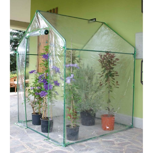 Serra Clematis BRI94908