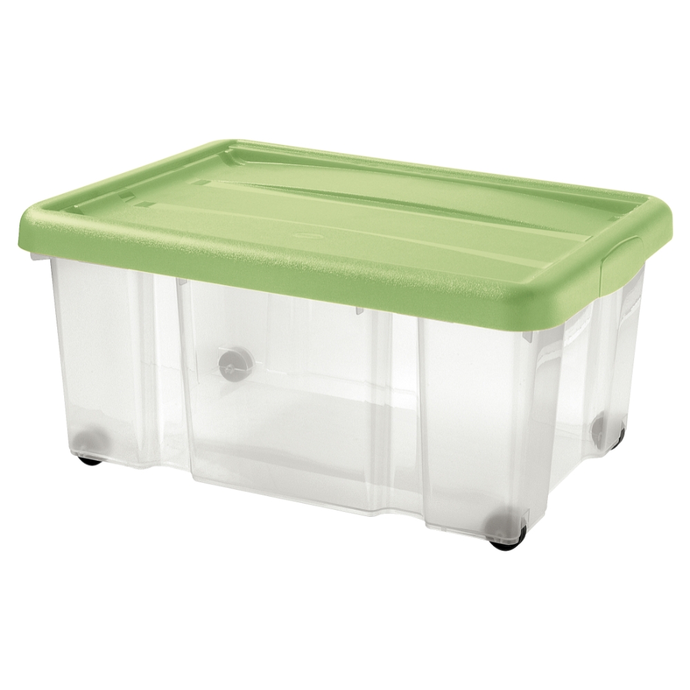 Image of Tontarelli Contenitore 43 L, trasparente/verde014